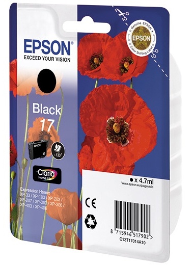 Картридж Epson 17 (C13T17014A10)