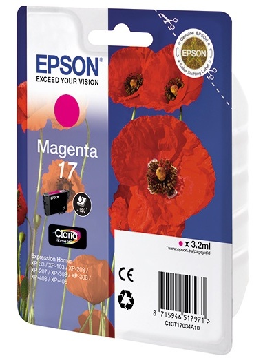 Картридж Epson 17 (C13T17034A10)