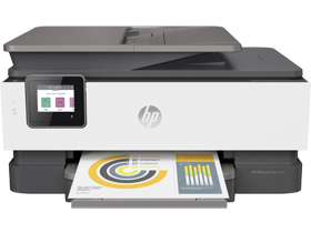 HP OfficeJet Pro 8024 All-in-One Printer (1KR66B)