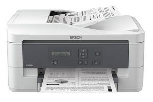 Epson K301