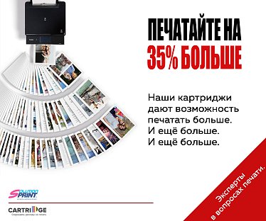 Картридж Canon PG-512 (2969B007/2969B001) OEM.ref